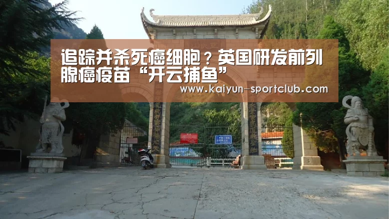 开云滚球